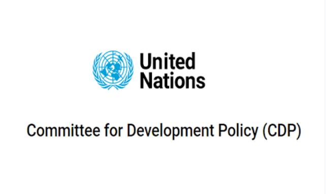 UN-CDP holds virtual consultation meeting with Bangladesh delegation